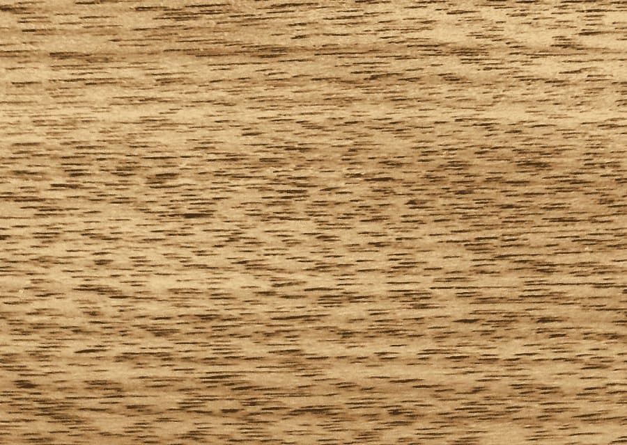 Textura de Encino americano