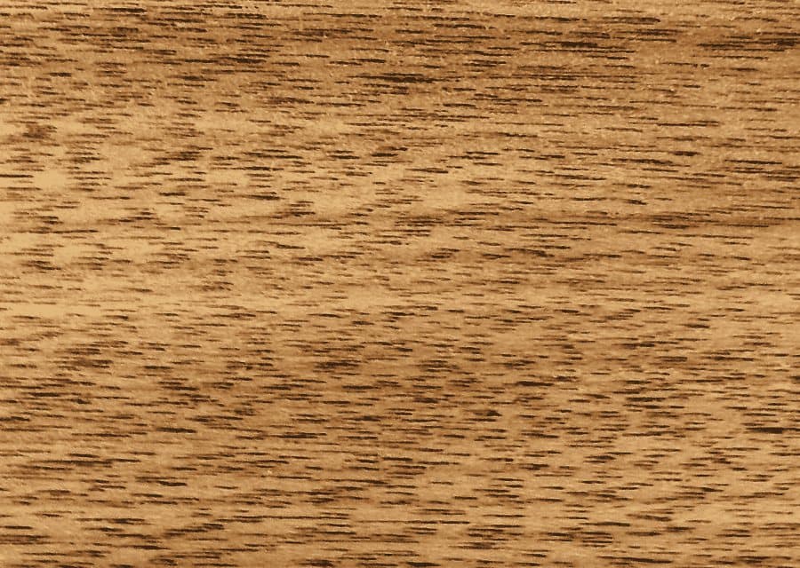Textura de Parota (huanacaxtle)